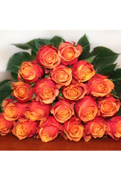 Троянда Черрі Бренді - великі мідно-помаранчеві бутони